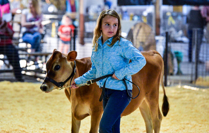 Orangeburg County Fair Dairy Show